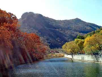 天天彩好彩天天免费，活性炭市场价格